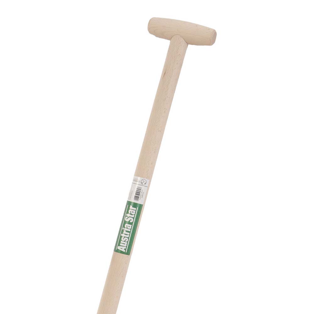 Forca vangatrice AUSTRIA STAR a verde 4 denti