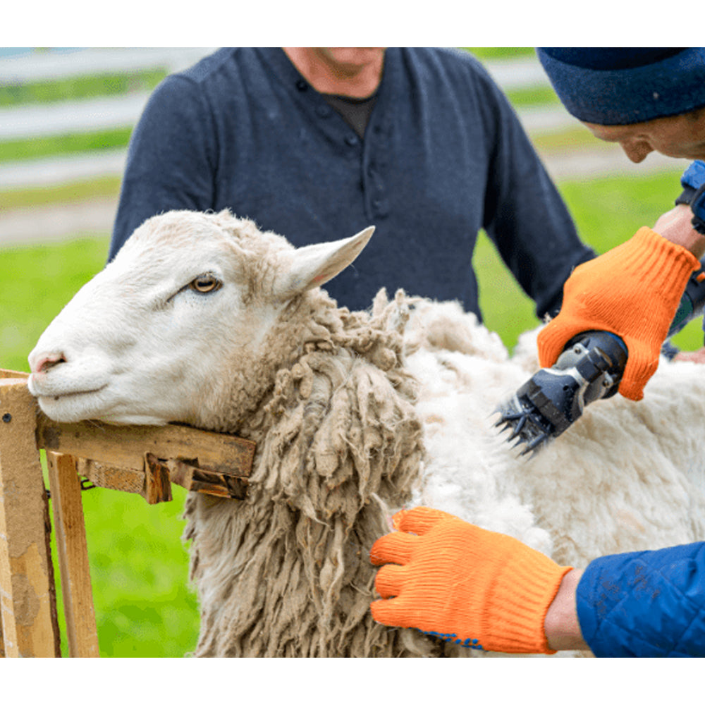 Lama di Ricambio A3 per Tosatura Pecore