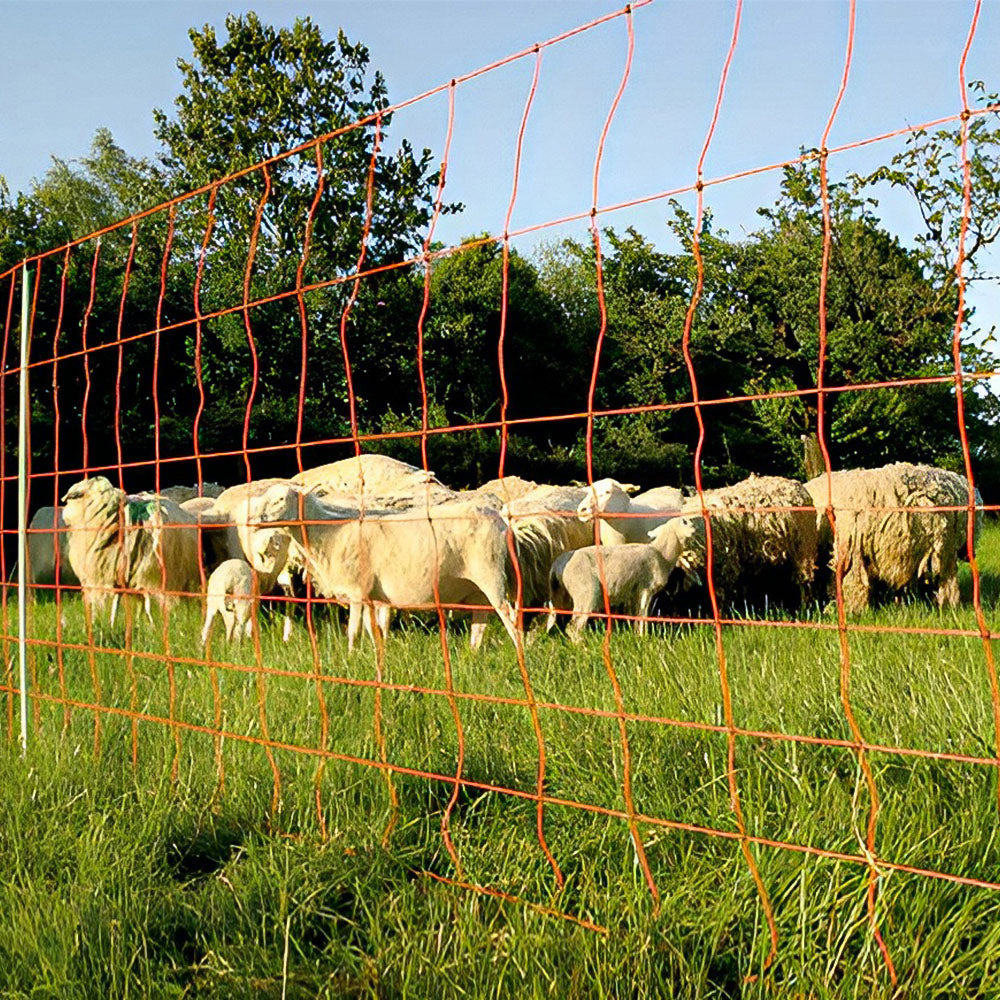 Reti Euronetz e Kombinetz per recinzione - Modelli singoli e doppi con pali di ricambio