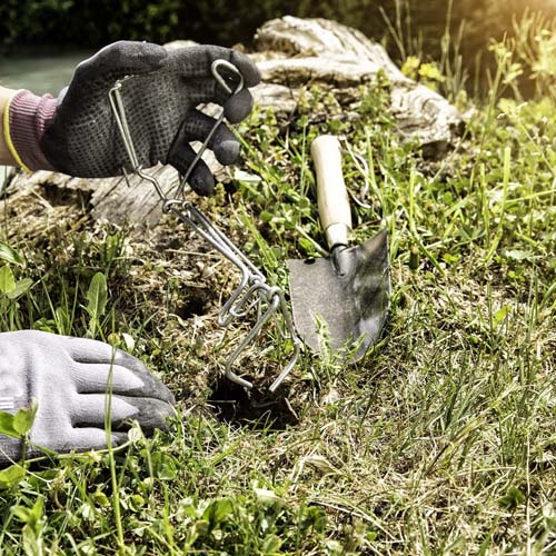 Mola Trappola Per Arvicole - Volex Wolff