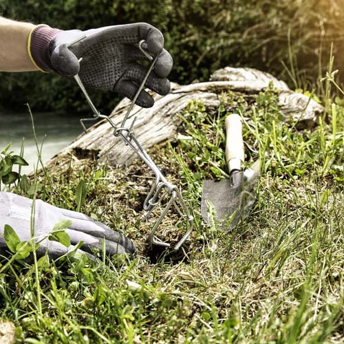 Mola Trappola Per Arvicole - Volex Wolff