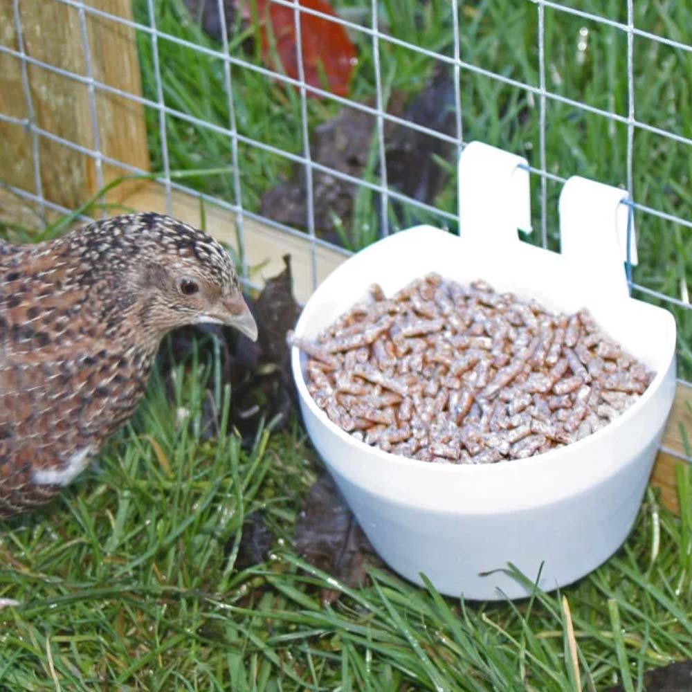Vaschetta per mangime e acqua per gabbie