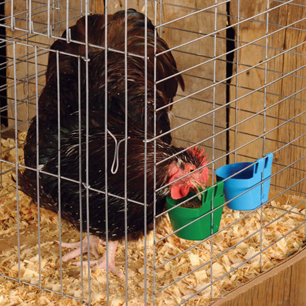 Vaschetta per mangime e acqua per gabbie