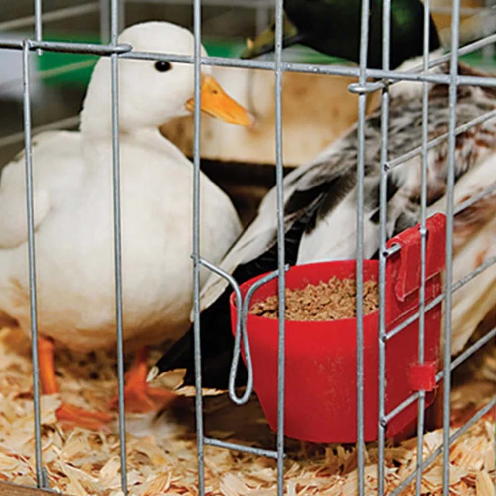 Vaschetta per mangime e acqua per gabbie