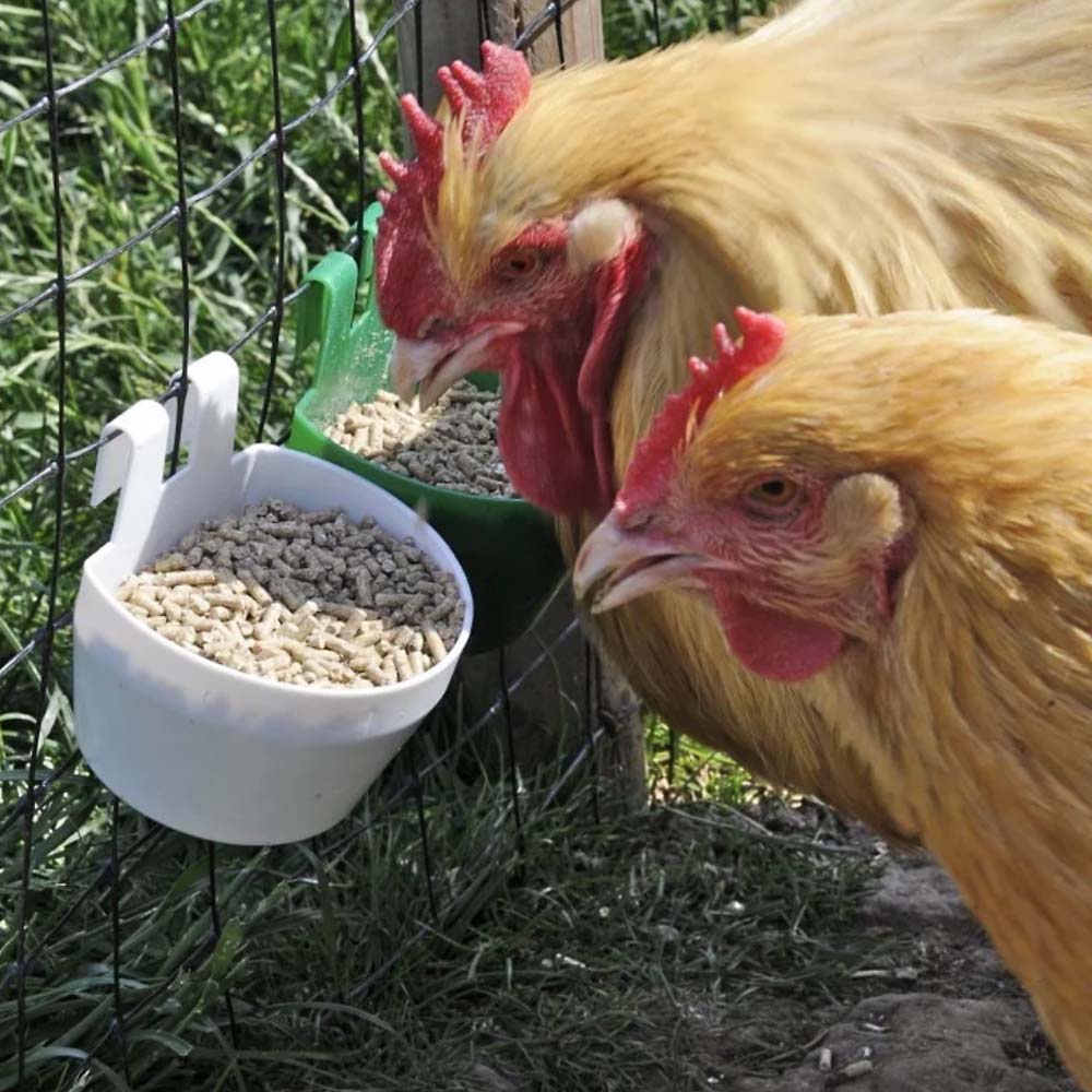 Vaschetta per mangime e acqua per gabbie