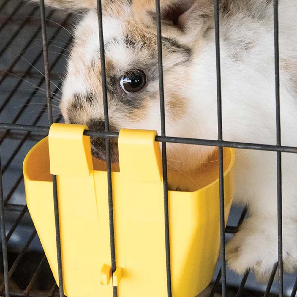 Vaschetta per mangime e acqua per gabbie