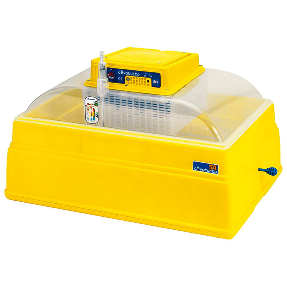 Incubatrice porta uova da 54 pezzi