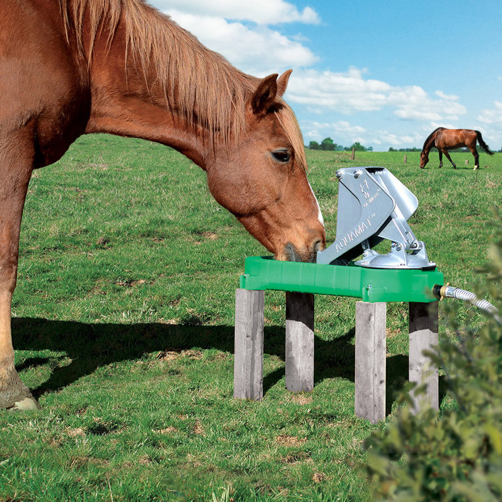 Pompa per Pascolo AQUAMAT II