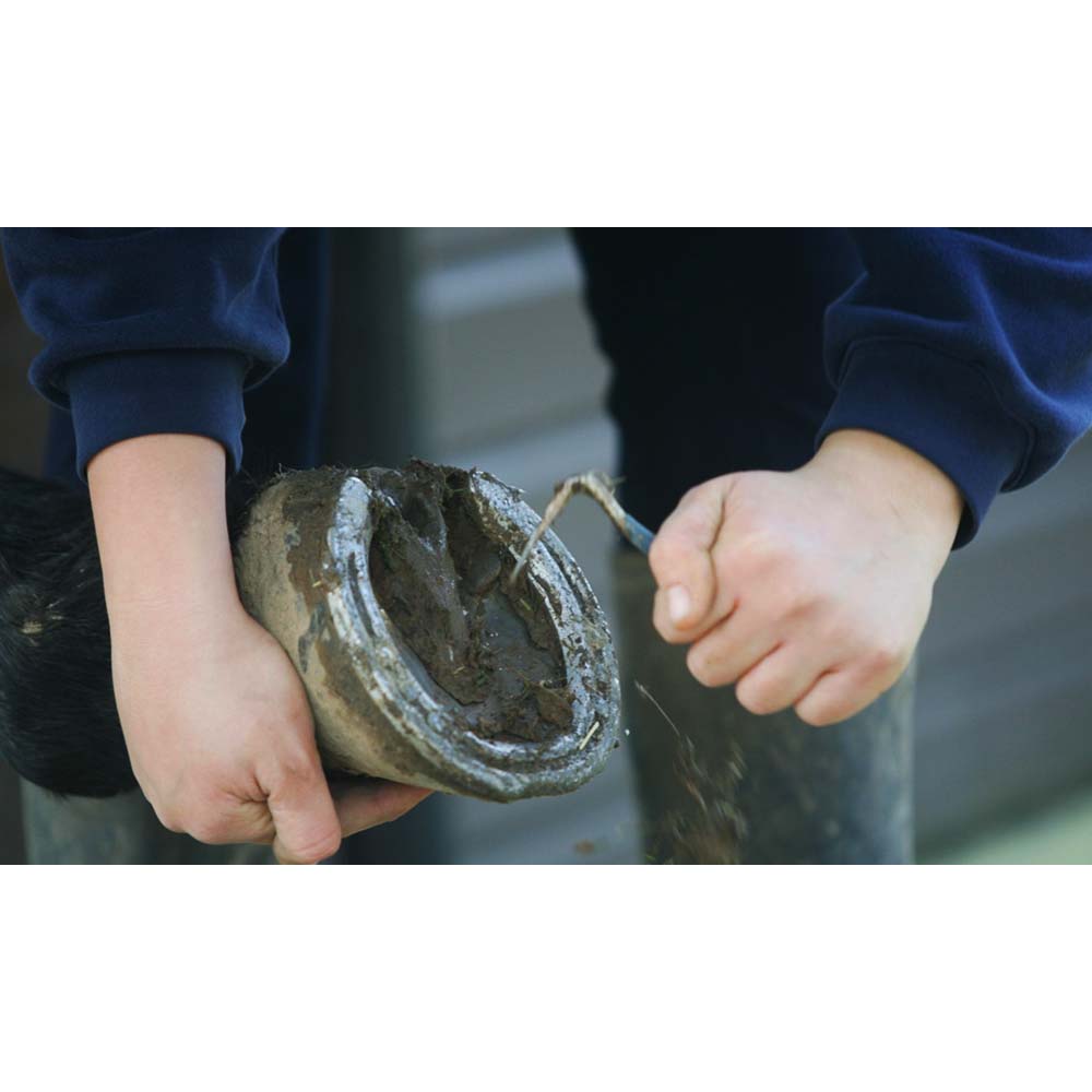 Nettazoccoli ad uncino