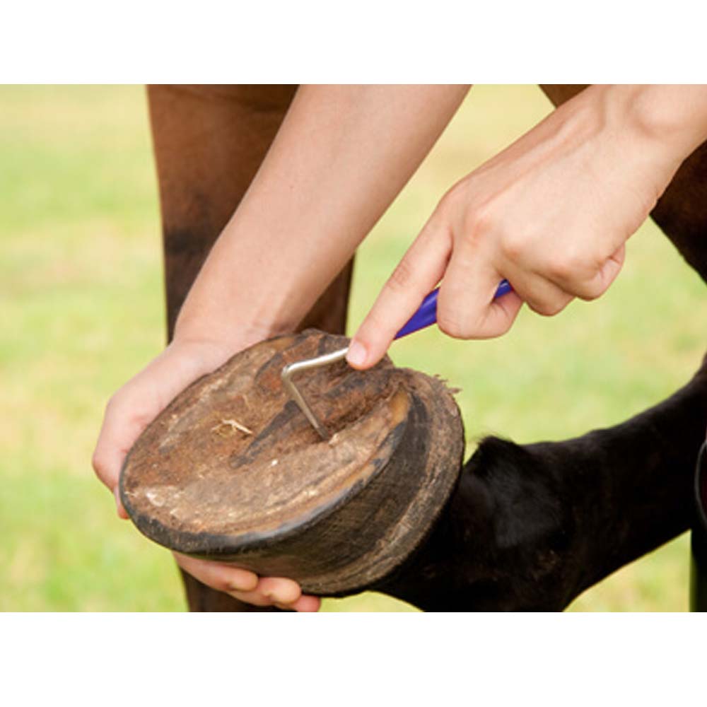 Nettazoccoli ad uncino