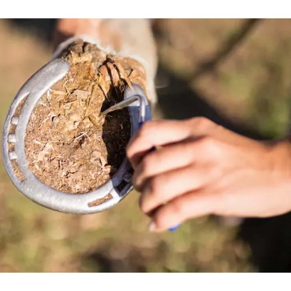 Nettazoccoli ad uncino