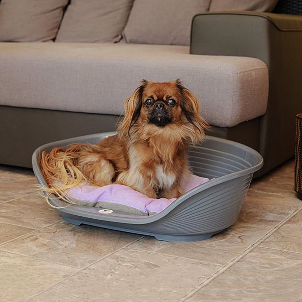 SIESTA DELUXE Letto da interno in plastica per cani e gatti con antiscivolo