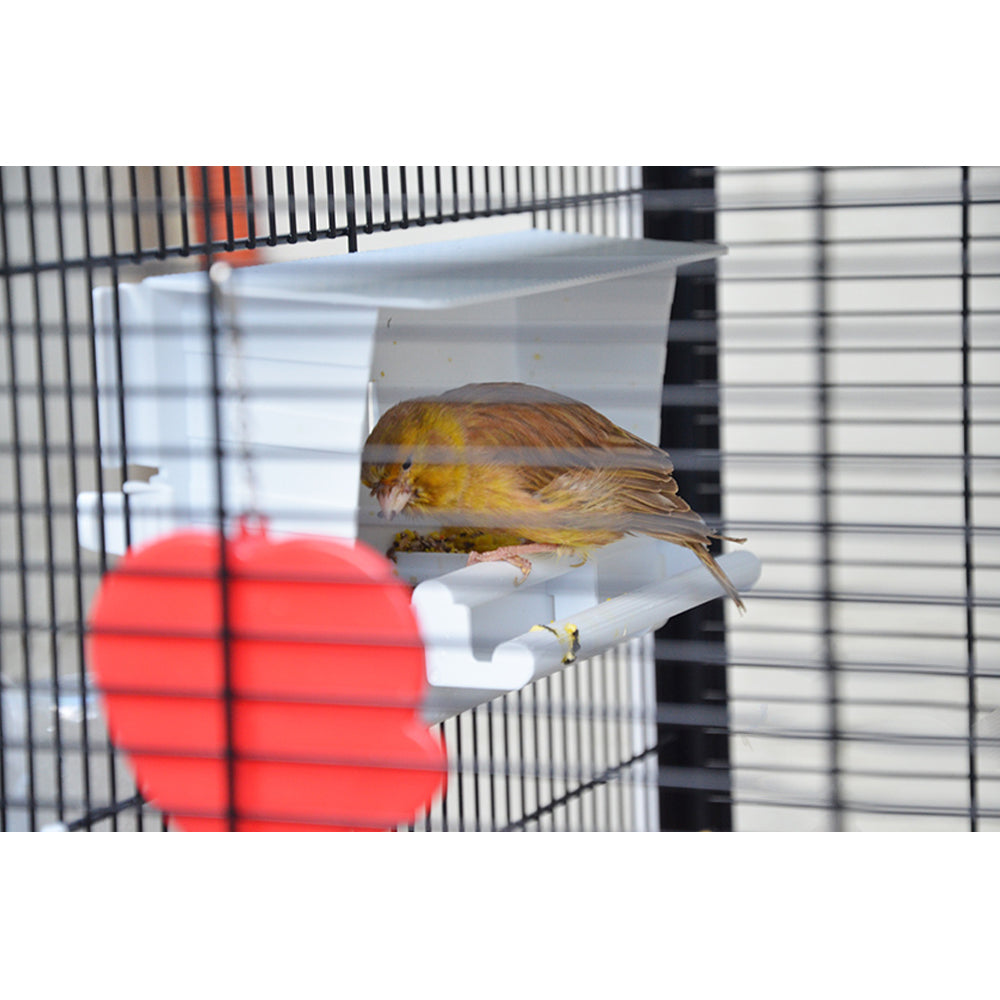 Voliera Duetto Blu gabbia spaziosa per piccoli uccelli