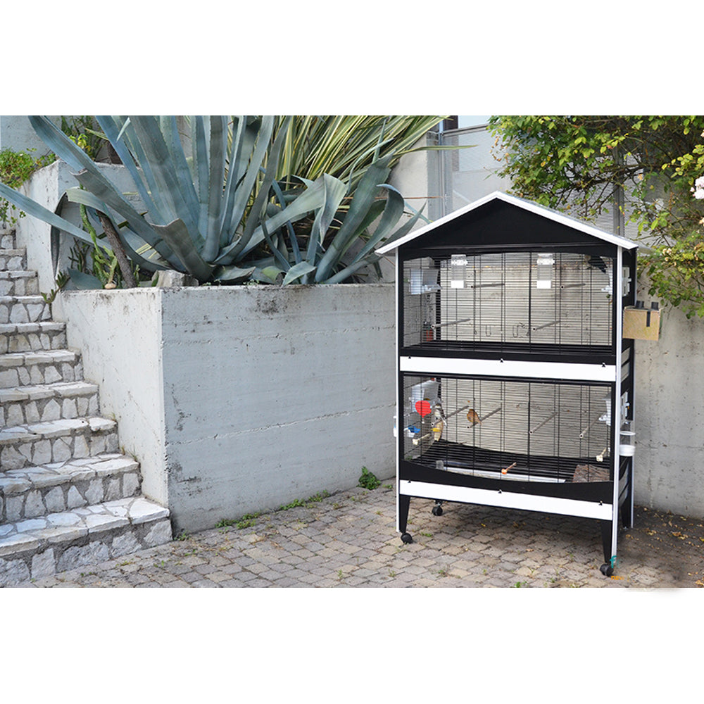 Voliera Duetto Blu gabbia spaziosa per piccoli uccelli