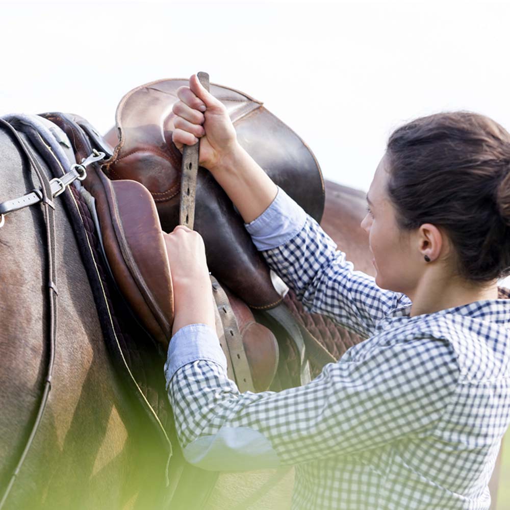 Prolunga per cinghie sella stabili sottosella