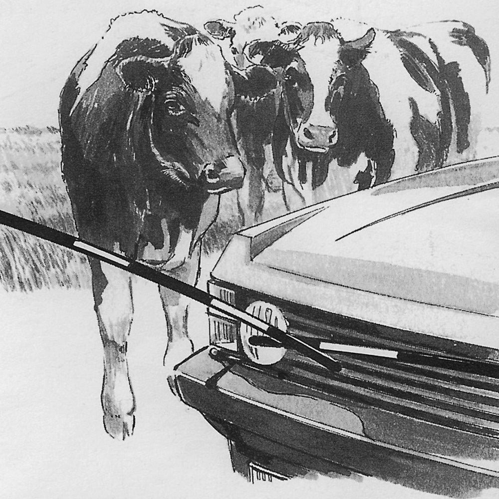 Sbarra Elettrificata per Bestiame Electro