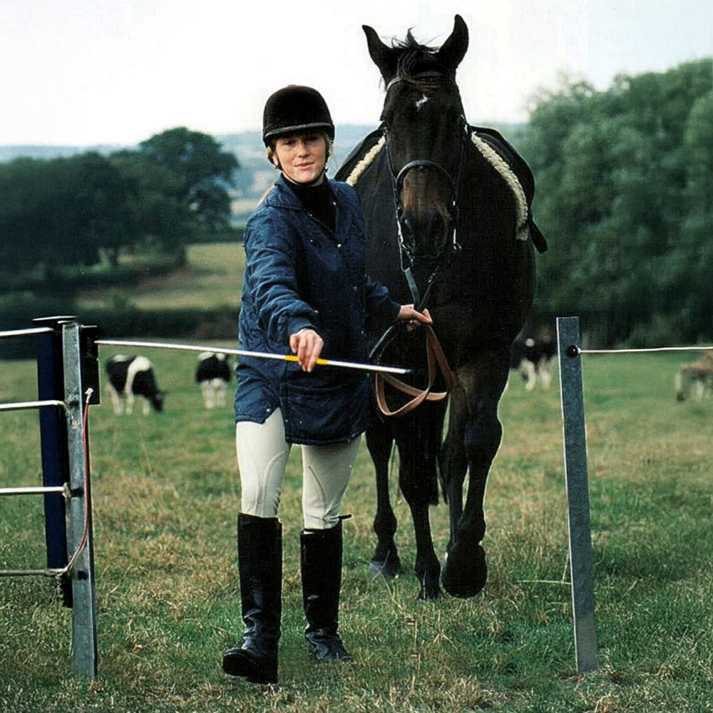 sbarra di sicurezza elettrificata