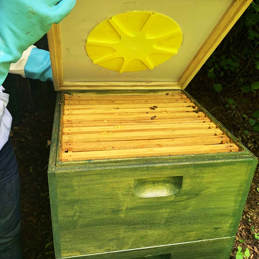 Fuga 8 grande per api in plastica