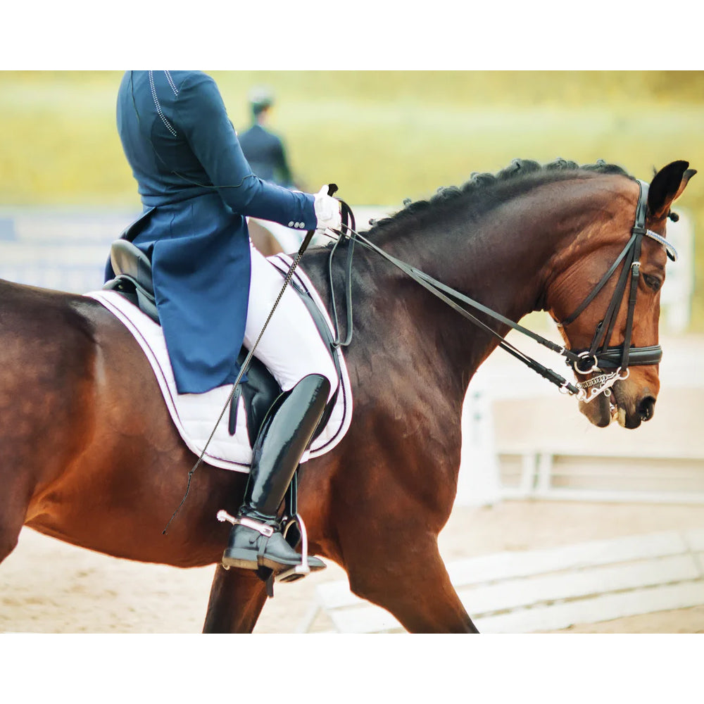 Frustino da Addestramento con Impugnatura