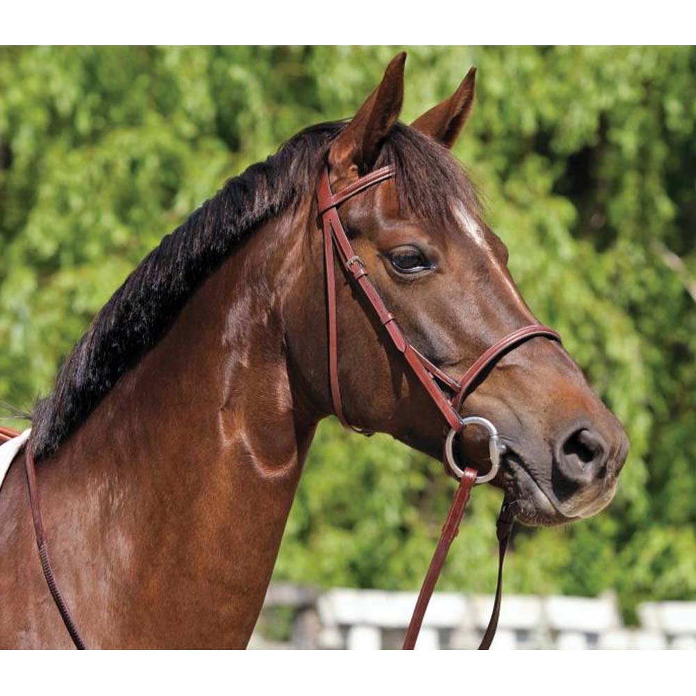 Morso alta qualità cavallo