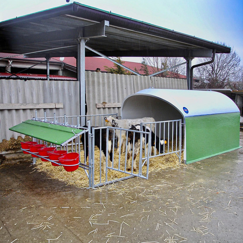 Front wall for calf igloo – space for 5 calves
