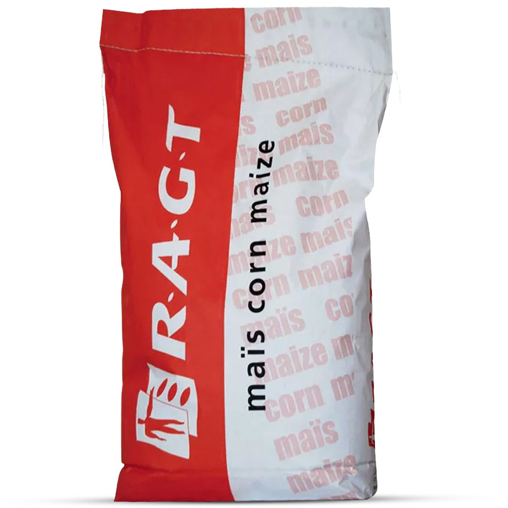 RGT Exxon Corn Seeds Force+Korit | High Yield Hybrid