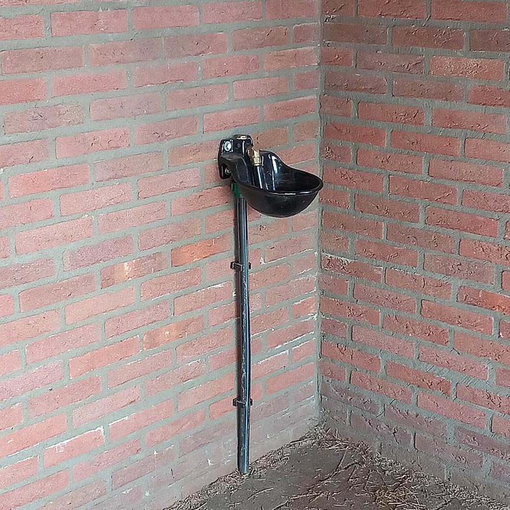 Suevia Abbeveratoio Ideal In Ghisa