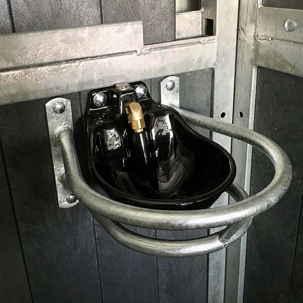 Suevia Abbeveratoio Ideal In Ghisa