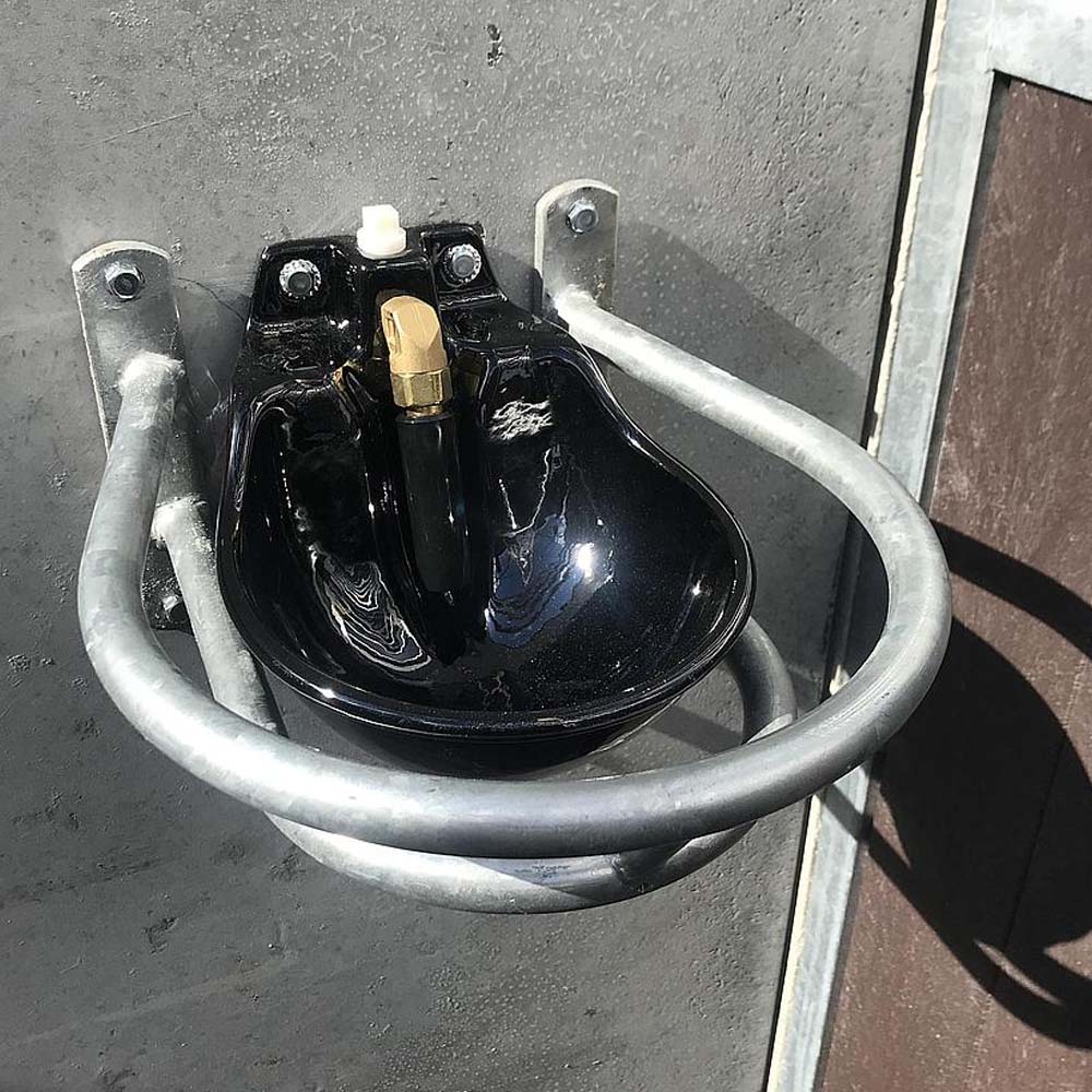 Suevia Abbeveratoio Ideal In Ghisa