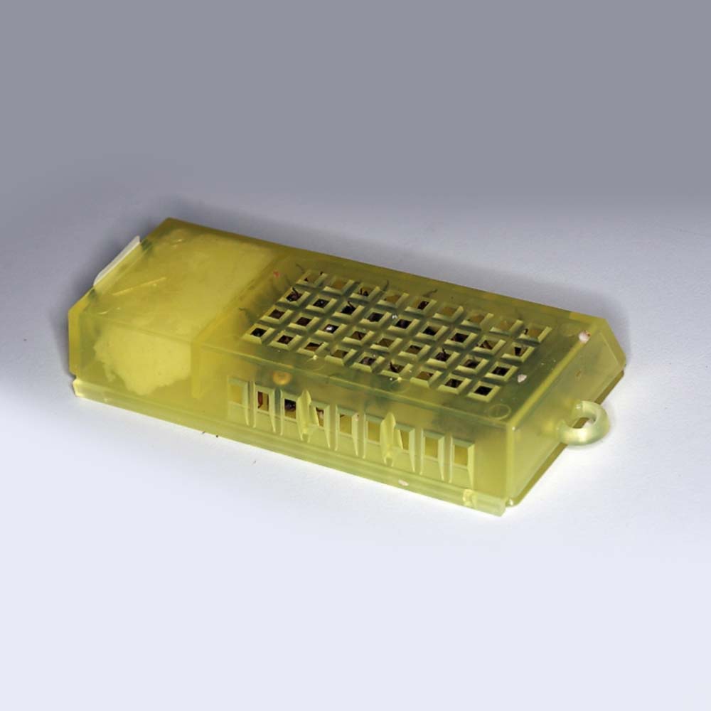 Gabbia apicoltura Nicot