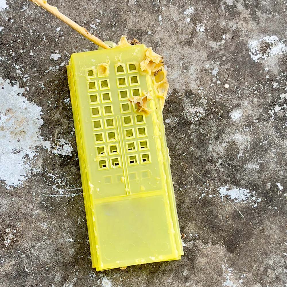 Gabbia apicoltura Nicot