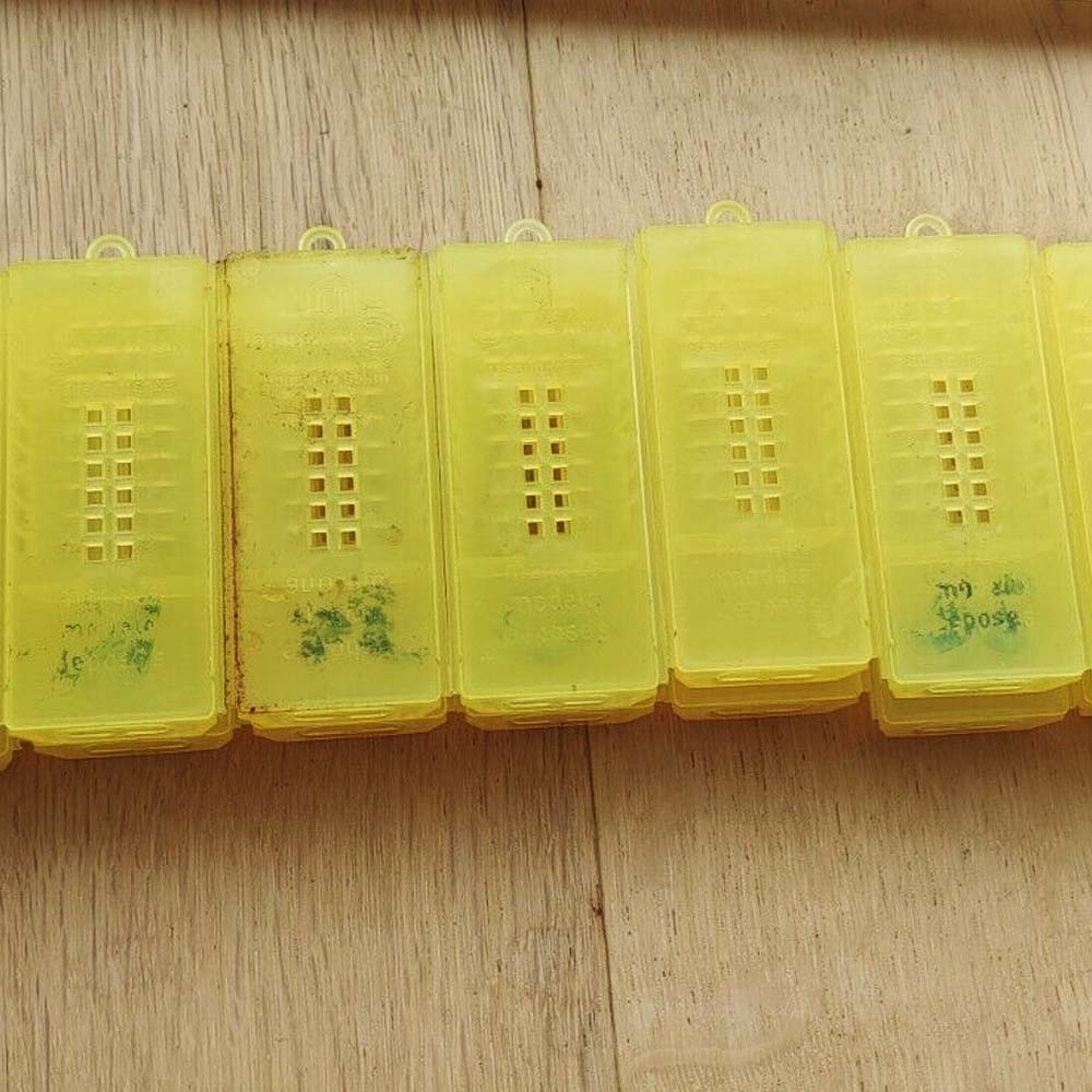 Gabbia ventilata per api