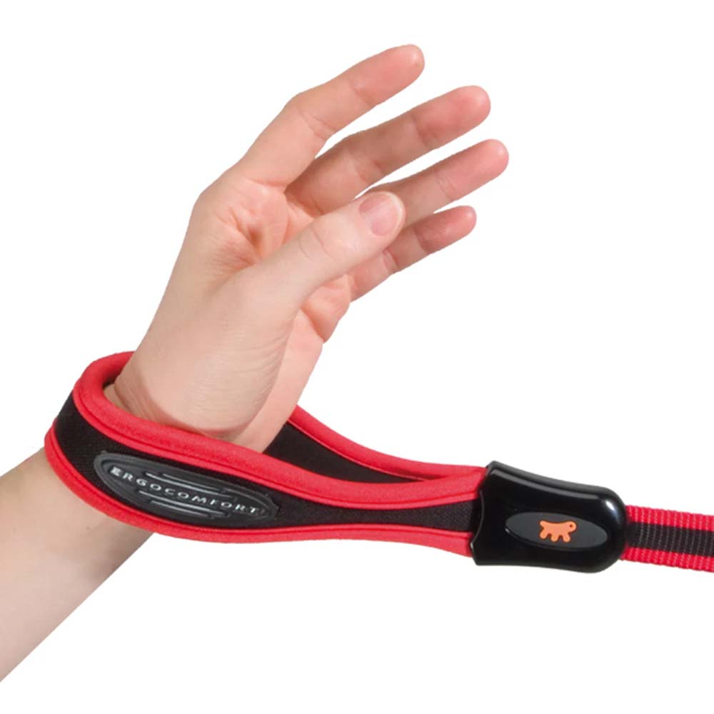 guinzaglio resistente per cani