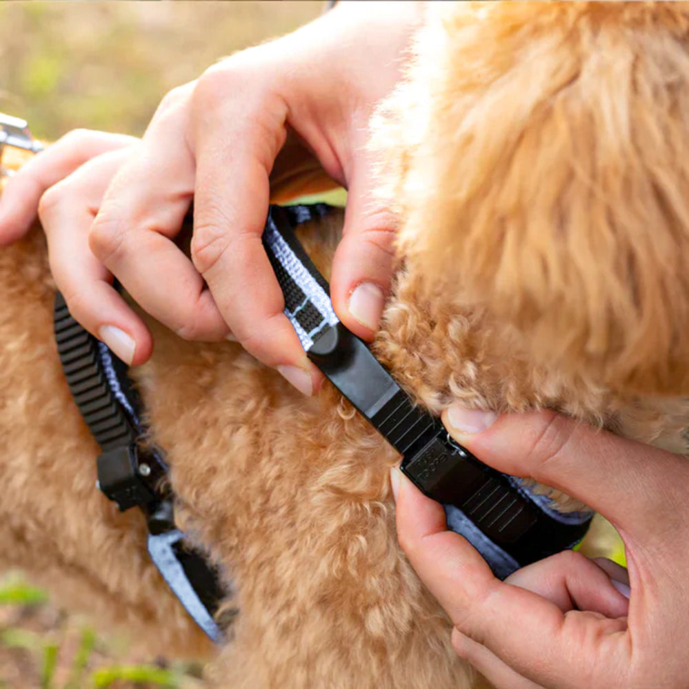 ERGOCOMFORT P - Pettorina Ergonomica con Microregolazione