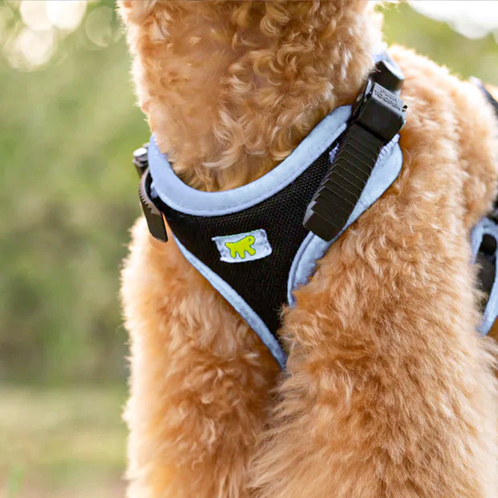 ERGOCOMFORT P - Pettorina Ergonomica con Microregolazione