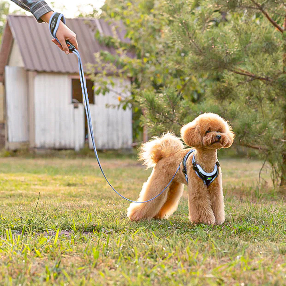 ERGOCOMFORT P - Pettorina Ergonomica con Microregolazione