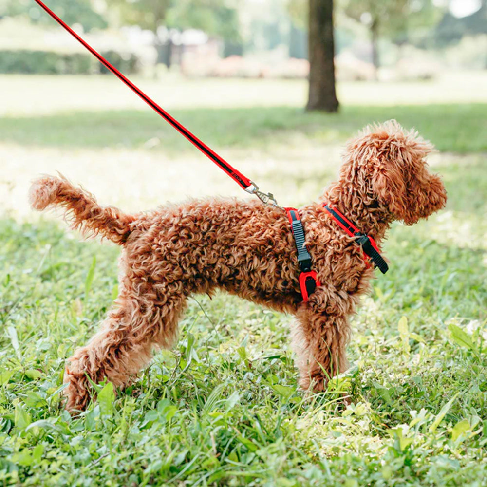 ERGOCOMFORT P - Pettorina Ergonomica con Microregolazione