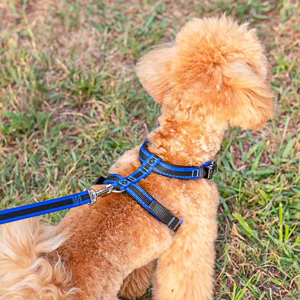 ERGOCOMFORT P - Pettorina Ergonomica con Microregolazione