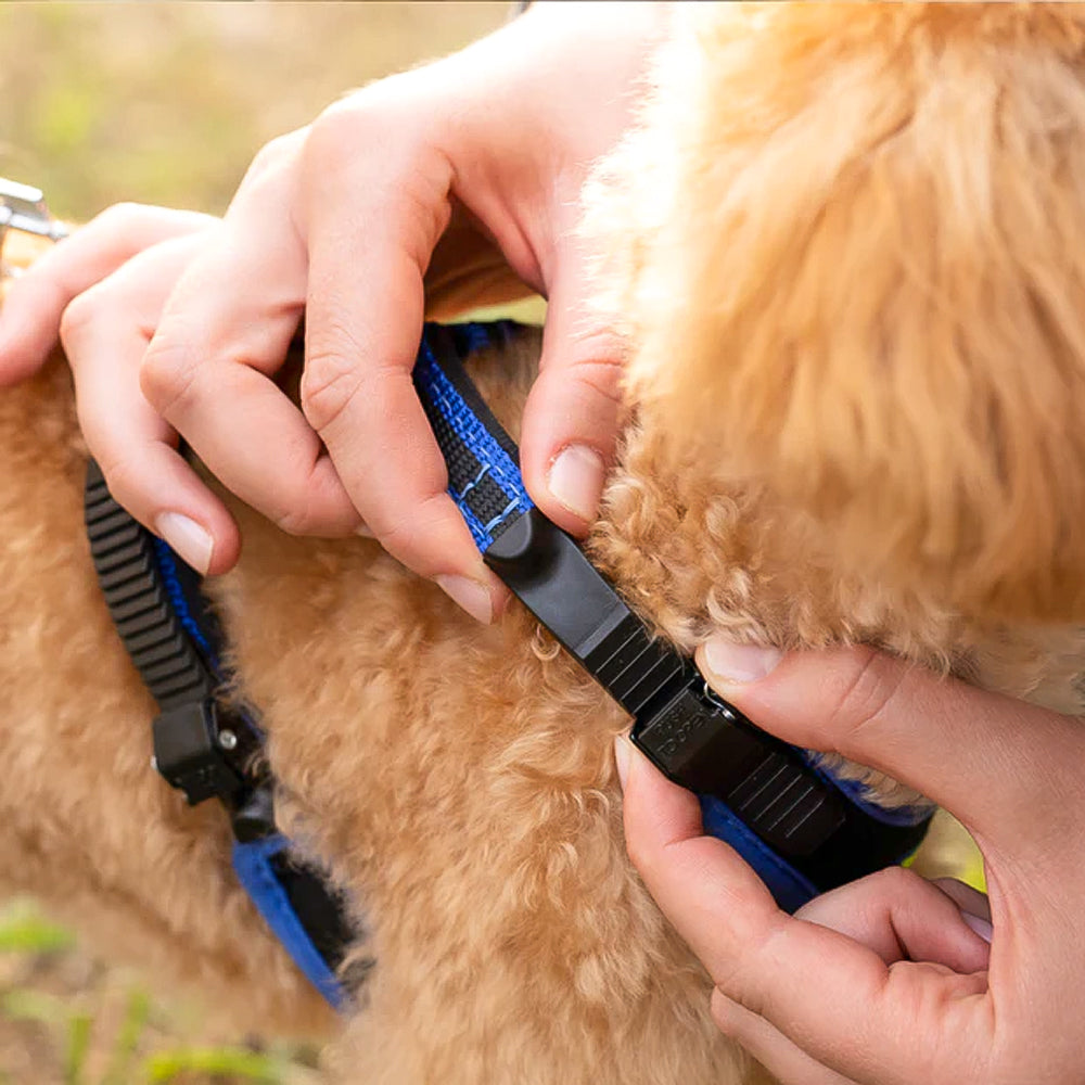 ERGOCOMFORT P - Pettorina Ergonomica con Microregolazione