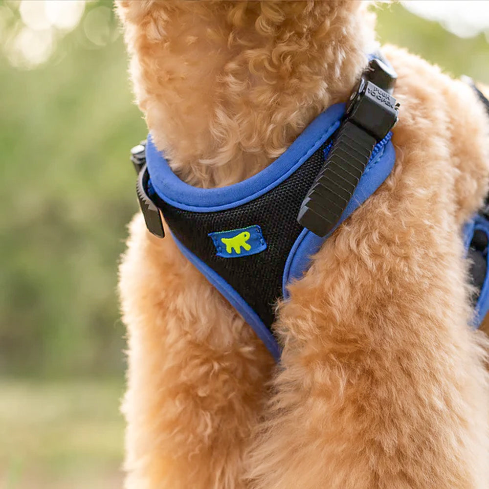 ERGOCOMFORT P - Pettorina Ergonomica con Microregolazione