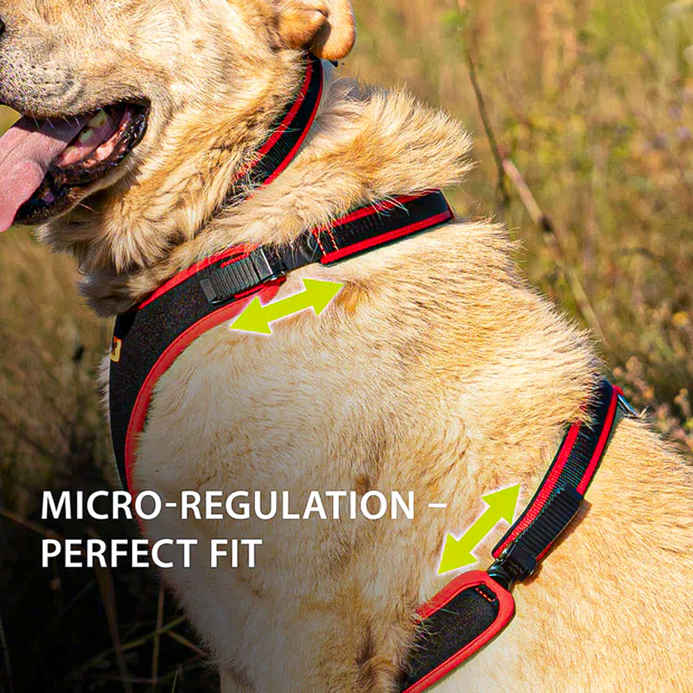 ERGOCOMFORT P - Pettorina Ergonomica con Microregolazione