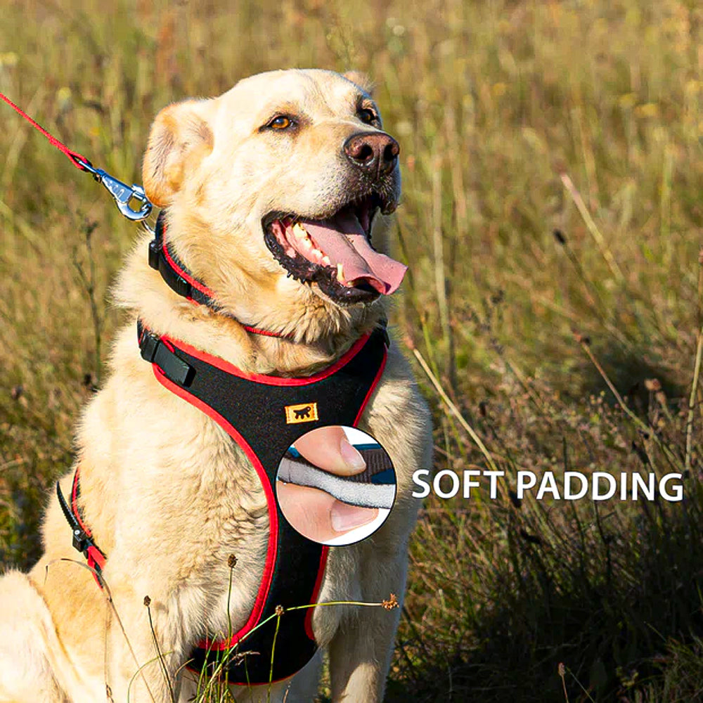 ERGOCOMFORT P - Pettorina Ergonomica con Microregolazione