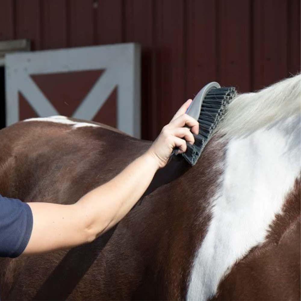Oster Spazzola con Setole Grezze