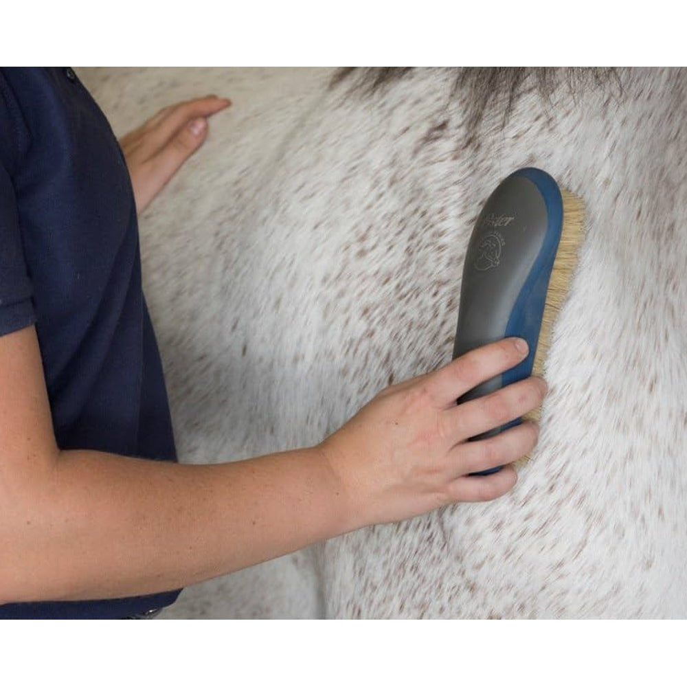 Oster spazzola lucidante