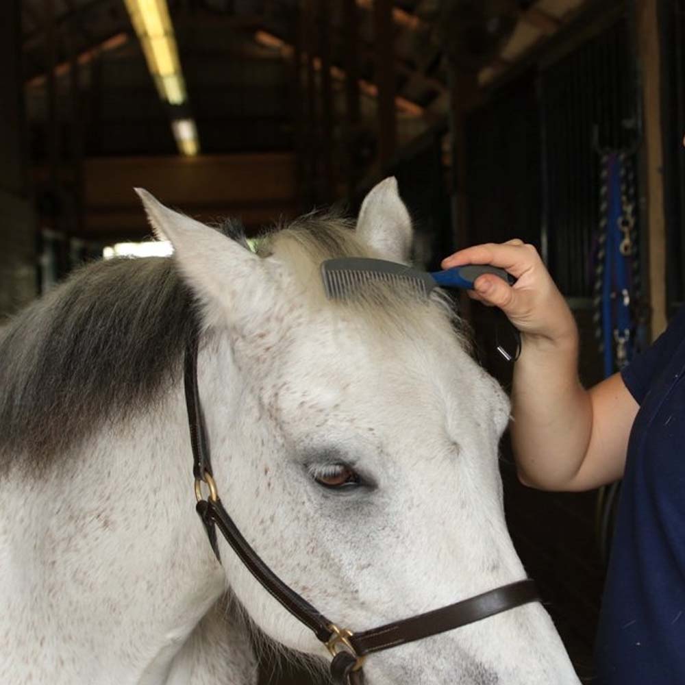 pettine cavallo qualità