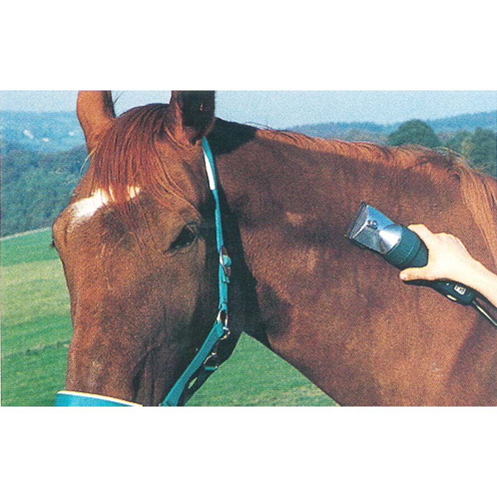 Tosatrice Profi 3000