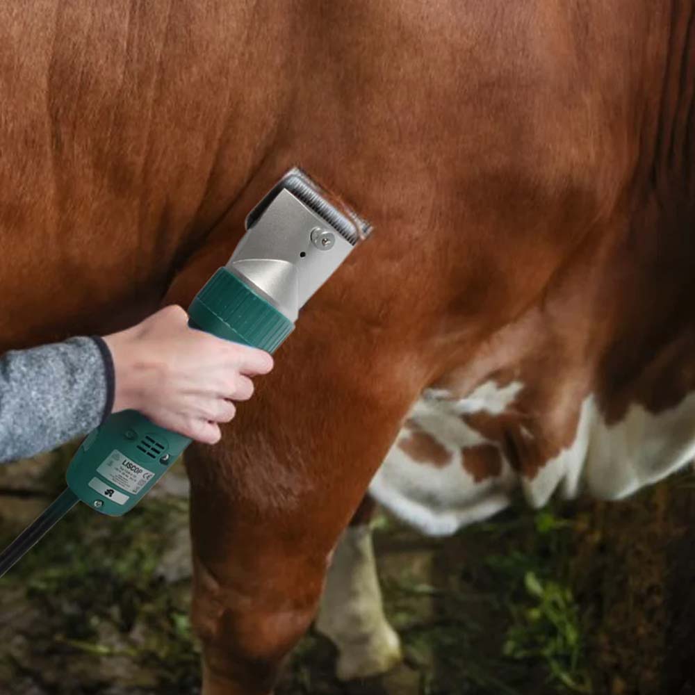 Tosatrice Profi 3000