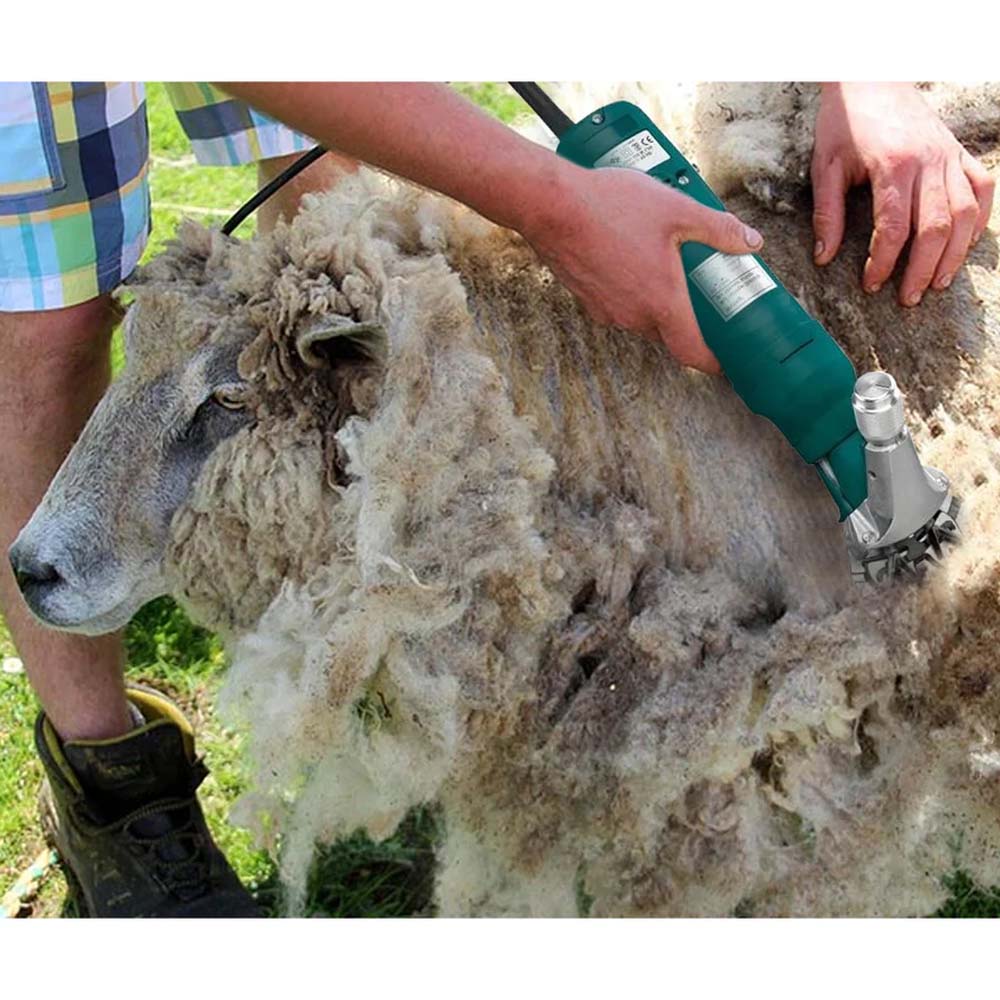 Tosatrice professionale