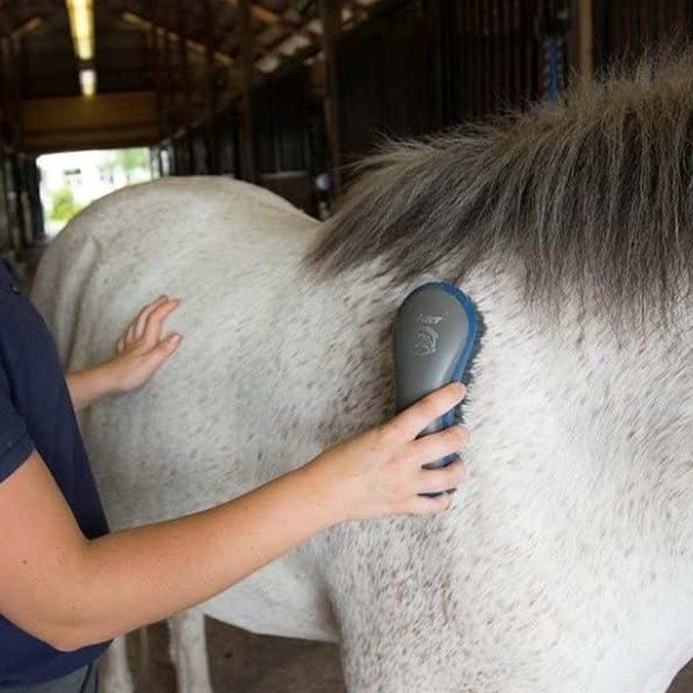 pettine ergonomico cavallo