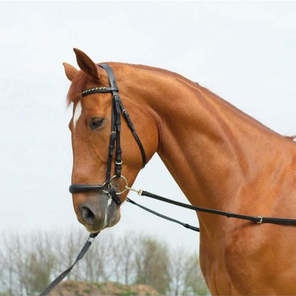 Moschettone con anello rettangolare per capezza e lunghina